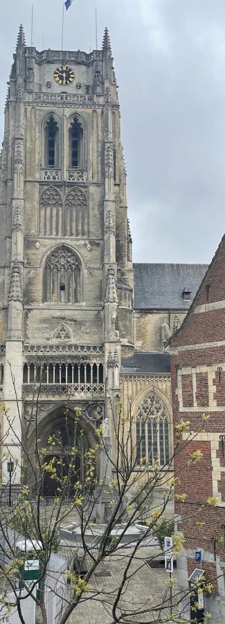 Domus Basil Villa Tongeren Eksteriør billede